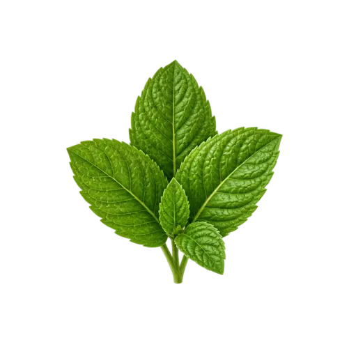 Passionate essential oil selection