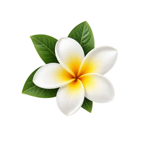 Romantic Balinese essential oil selection